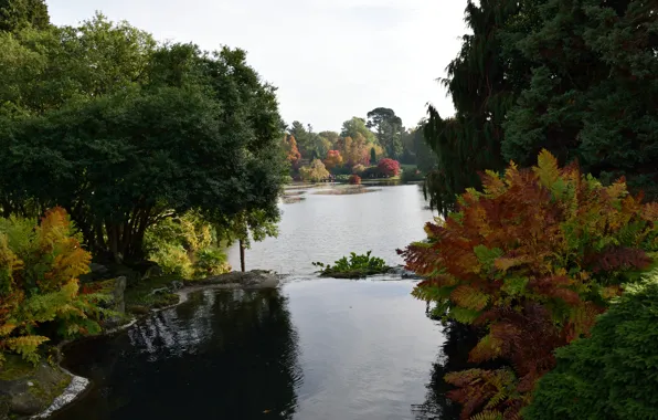 Picture England, Nature, Autumn, Lake, Fall, Autumn, England, Lake