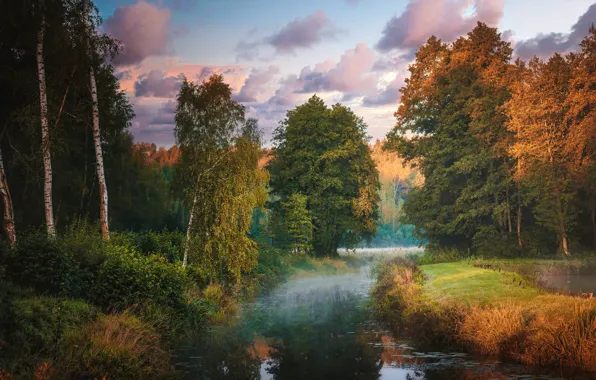 Picture autumn, nature, river