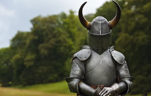 Armor, horns, helmet, knight, hollow crown