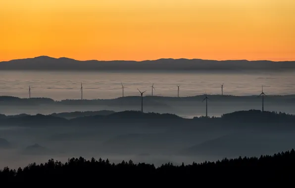 Sunset, nature, fog, windmills