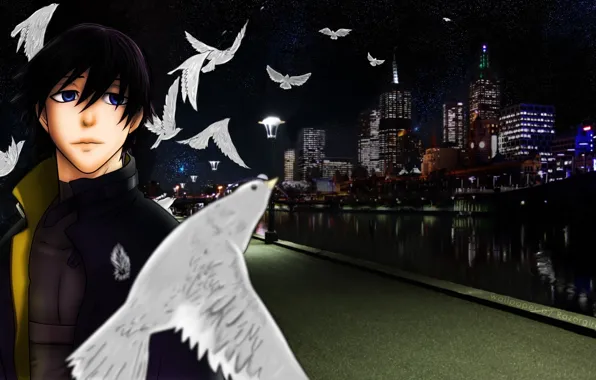 Anime, art, pigeons, Darker than Black, Hey