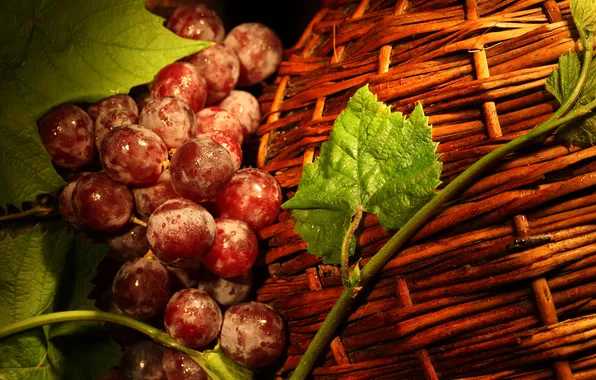 Leaves, red, berries, basket, grapes, vine
