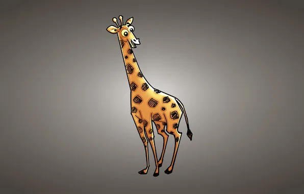 Giraffe, light background, giraffe, smiling