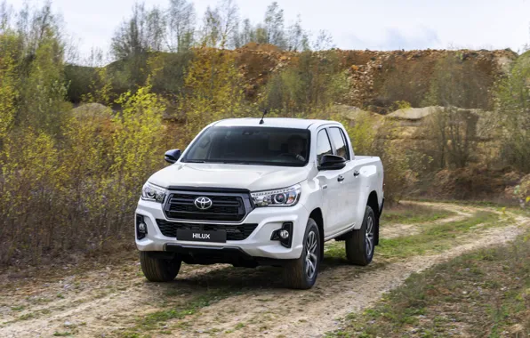 White, vegetation, Toyota, pickup, Hilux, primer, Special Edition, 2019
