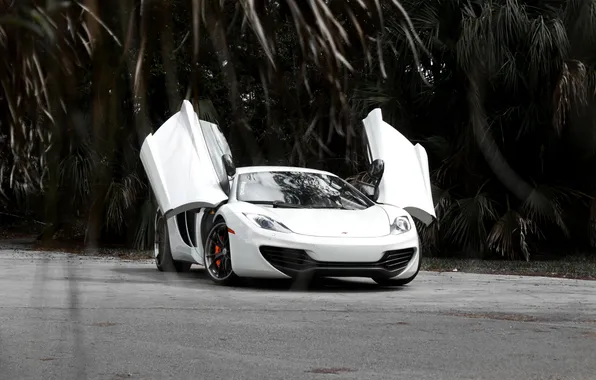 White, reflection, McLaren, white, front view, MP4-12C, windshield, McLaren