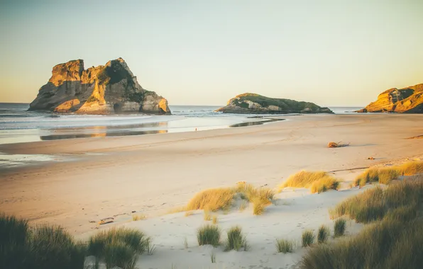 Sea, wave, beach, the sky, grass, rocks
