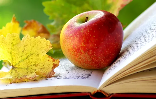 Picture autumn, leaves, Apple, book, page
