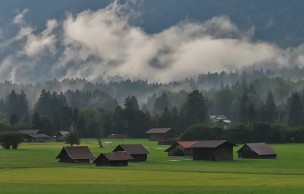 Field, forest, clouds, trees, mountains, fog, home, morning