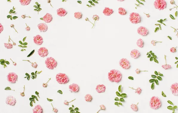 White, flowers, background, heart, flower, leaves, decor