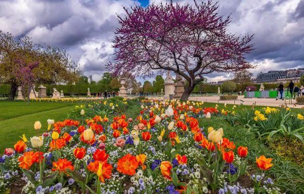 France, Paris, spring, tulips, Elysian Fields