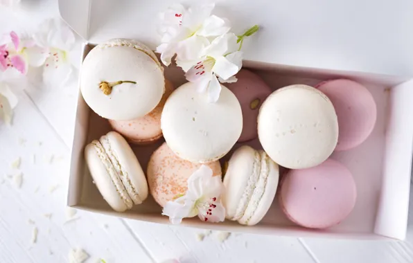 White, pink, flowers, french, macaron, pastel, macaroon