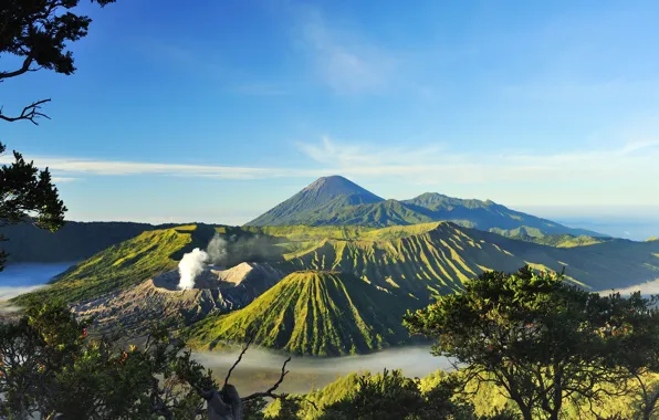 Picture the sky, the sun, trees, mountains, branches, fog, valley, Indonesia