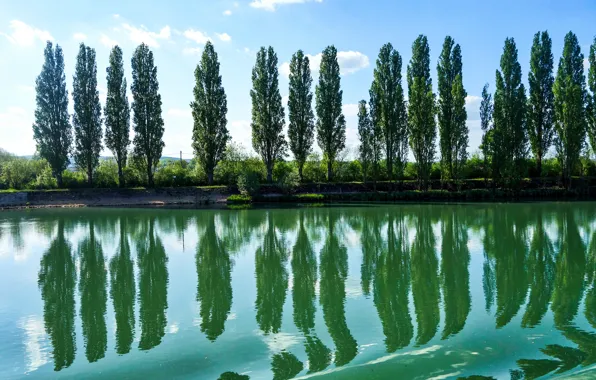 Picture the sky, trees, river, shore