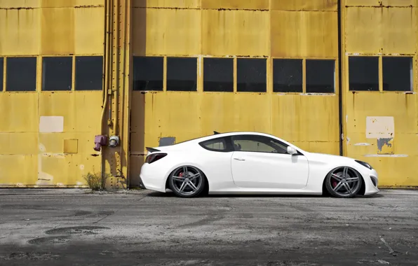White, coupe, hyundai, genesis