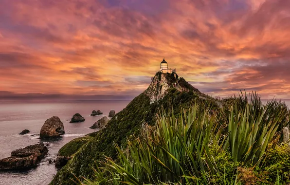 Sea, the sky, clouds, sunset, stones, rocks, lighthouse, the evening