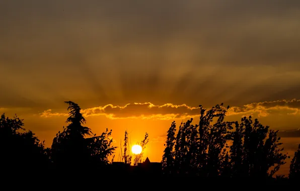 Picture the sun, sunset, nature, silhouette