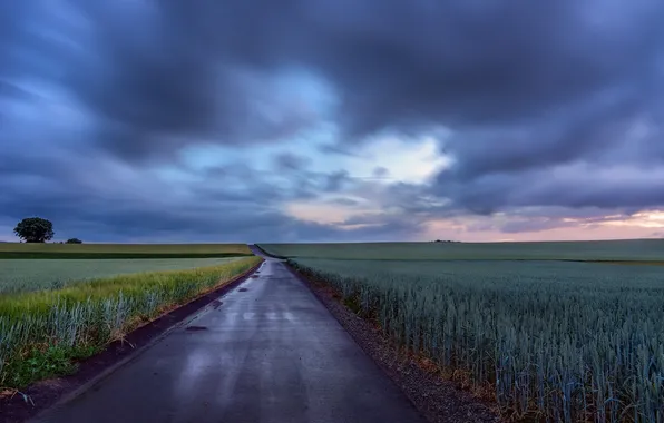 Road, field, the sky