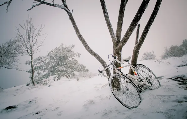 Picture snow, bike, tree