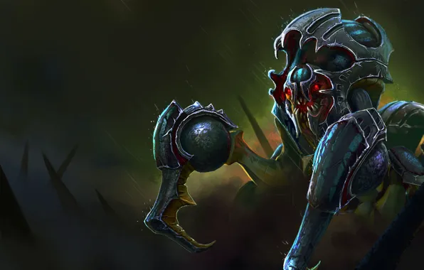 Picture mechanism, beetle, being, art, Dota 2, Nyx Assassin, Lothrean