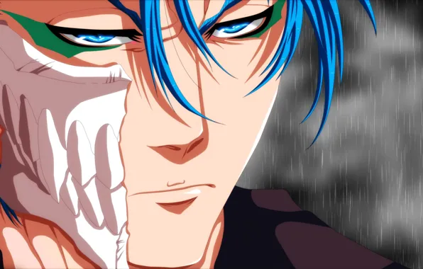 Face, anime, guy, Bleach, grimmjow, Grimmjow Jaegerjaquez