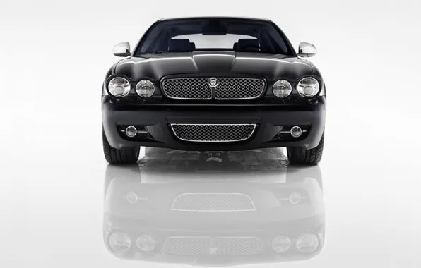 Jaguar, Reflection, Grille, Lights, The front