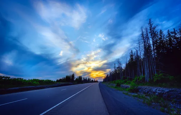 Picture road, the sky, the evening