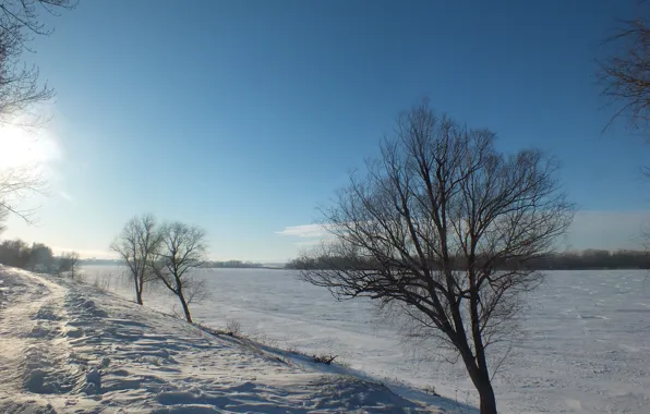 Winter, snow, tree, promenade, Volga