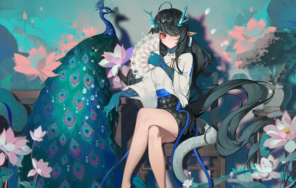 Girl, dragon, fantasy, peacock, Lotus, Dusk, Arknights