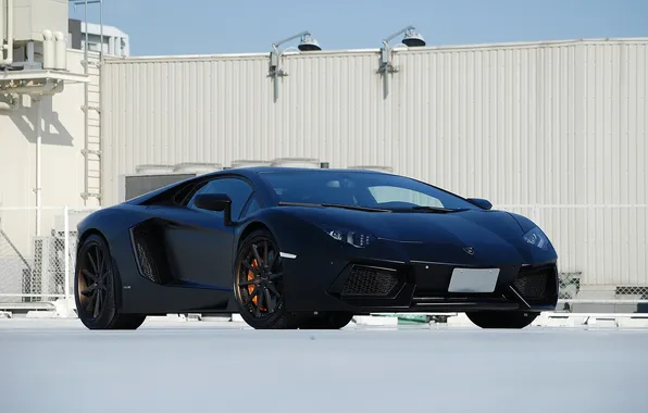 Picture the building, lamborghini, front view, aventador, lp700-4, Lamborghini, aventador, matte black