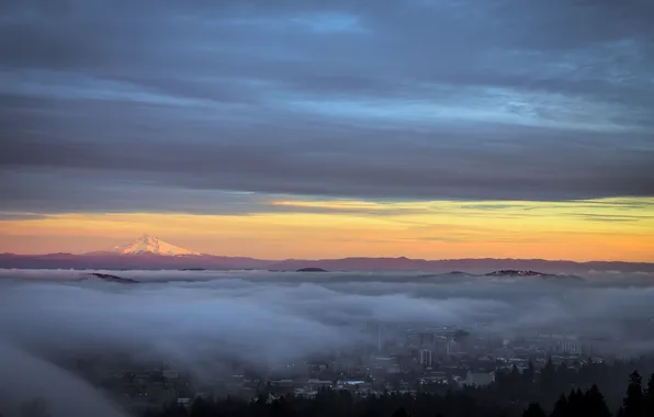 The city, fog, morning, Portland