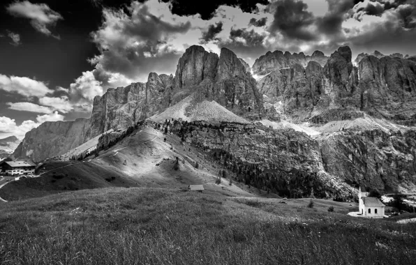 Picture forest, landscape, mountains, nature, photo, black and white