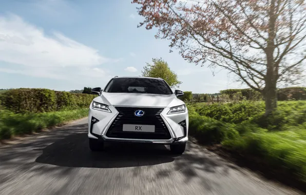 Front view, 2018, Sport, crossover, 450h, Lexus RX