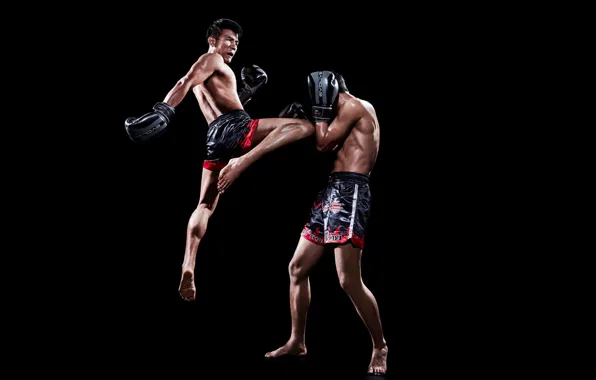 Fighter, muay thai, kneed
