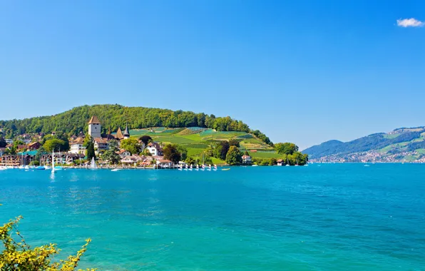 The sky, the sun, trees, lake, shore, home, yachts, boats