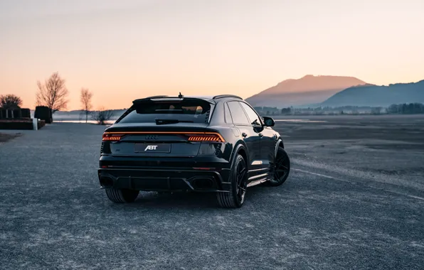 Audi, Light, Black, ABBOT, Rear, Signature Edition, RS Q8, Audi RS Q8