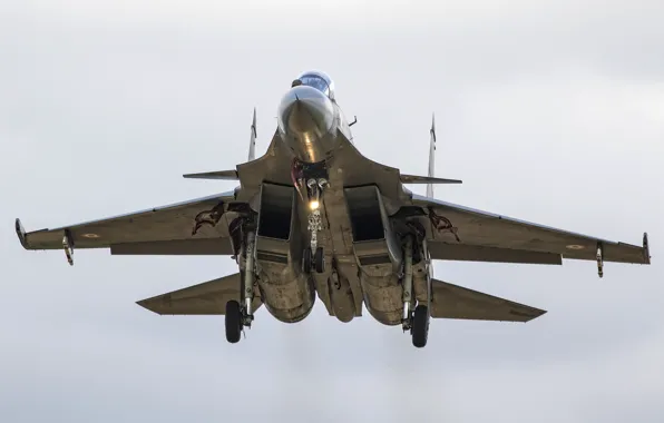 Picture fighter, multipurpose, Su-30, MKИ