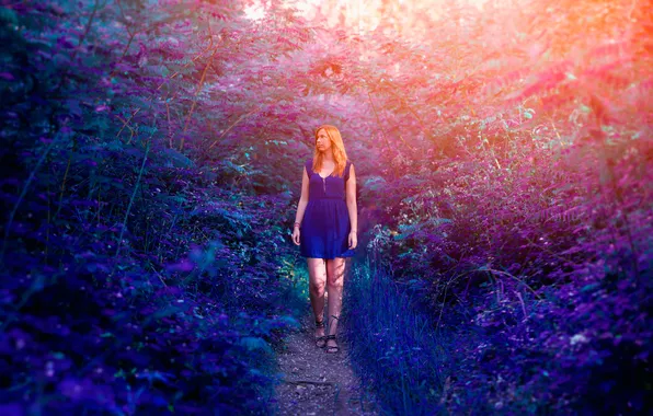 Color, girl, trail, dress