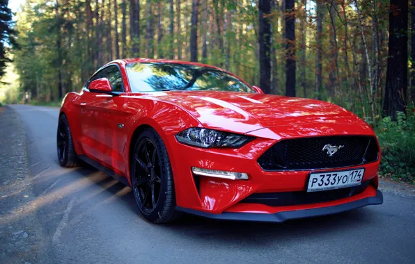 Picture road, red, Ford Mustang, Evgeny Bulatov