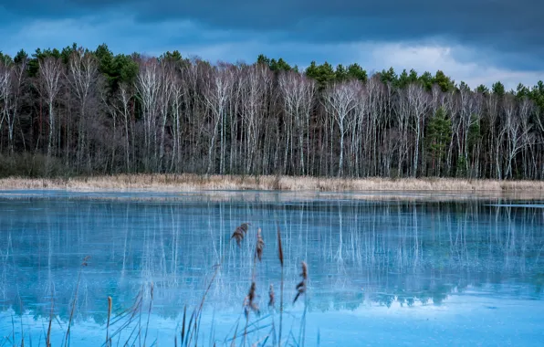 Autumn, forest, the sky, trees, river, Germany, Germany, Brandenburg