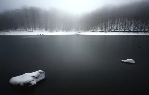 Picture winter, fog, lake