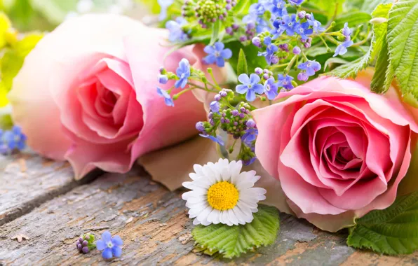 Roses, petals, pink, flowers, romantic, roses