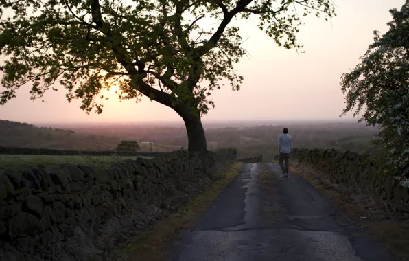 Picture road, fog, the evening, male
