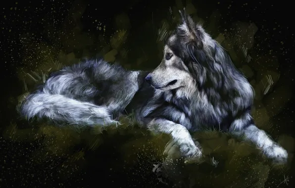 Picture the dark background, wolf, painting