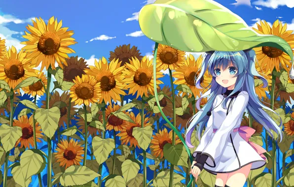 Picture field, sunflowers, anime, art, girl