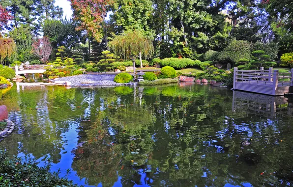 Picture trees, bridge, pond, garden, CA, USA, the bushes, Earl Burns Miller Japanese Garden