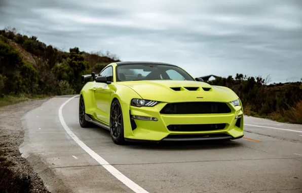 Picture Mustang, Ford, front view, tuning, 2019, Revenge GT