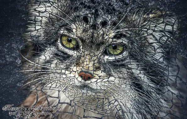 Cat, mosaic, manul, wild