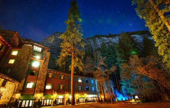 The sky, stars, trees, night, the city, lights, home, hdr