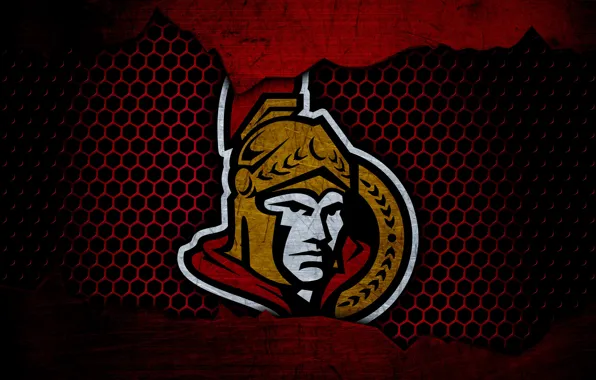 Wallpaper, sport, logo, NHL, hockey, Ottawa Senators