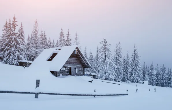 Winter, snow, trees, landscape, tree, hut, forest, trees